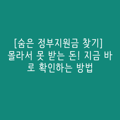 [숨은 정부지원금 찾기] 몰라서 못 받는 돈! 지금 바로 확인하는 방법