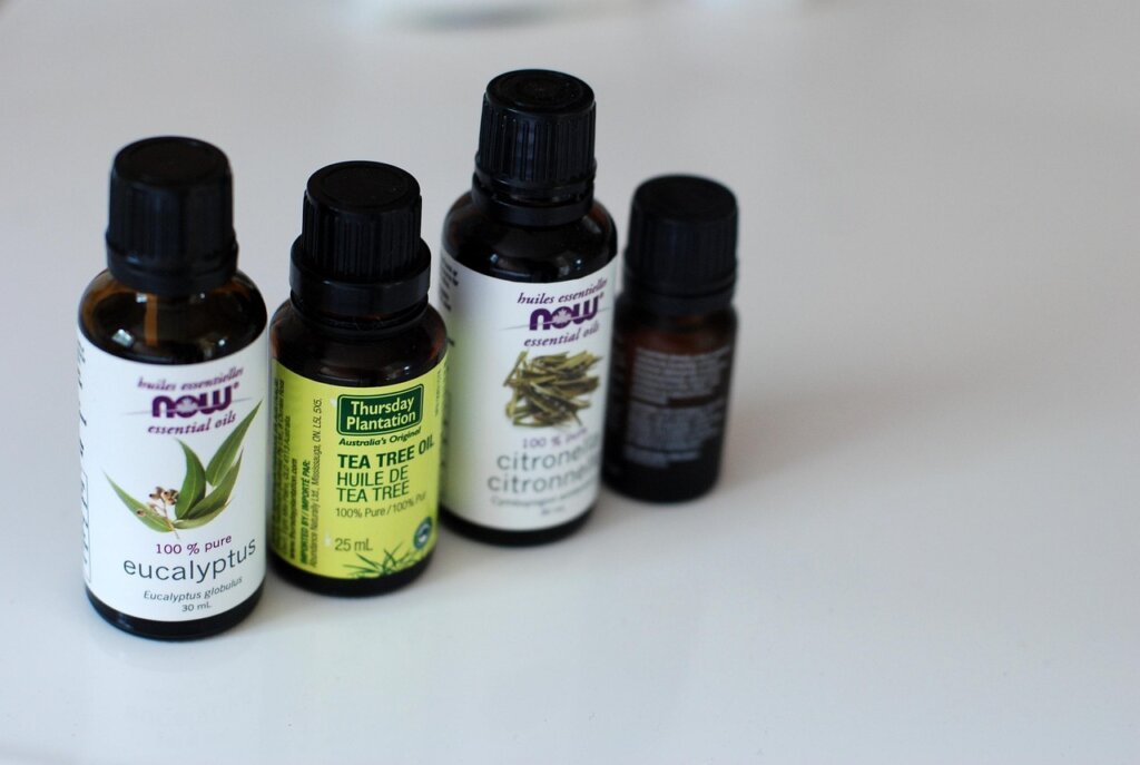 natural mosquito repellent essential oils lemon eucalyptus citronella on wooden board