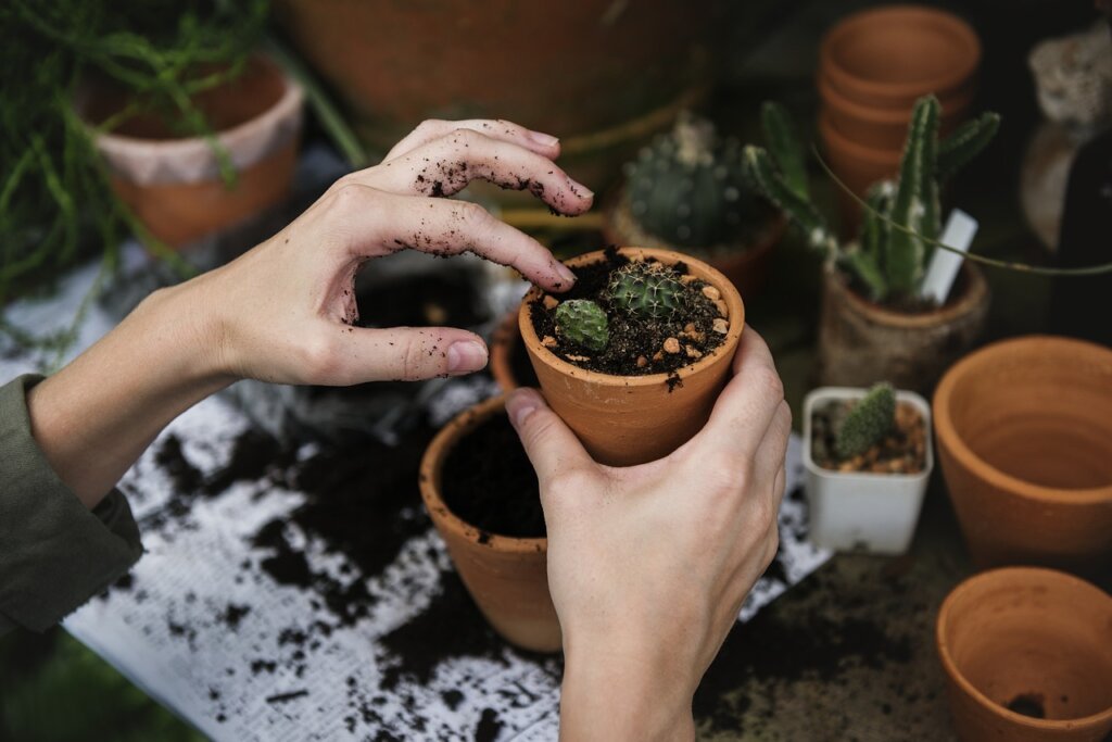 coffee grounds being mixed into potting soil in terracotta pot