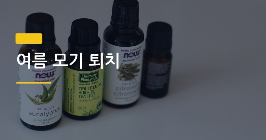 여름 모기 퇴치, 천연 vs 전자 방법 중 진짜 효과 있는 건 뭘까
