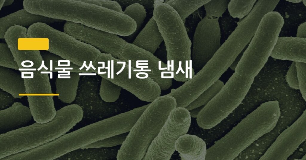 음식물 쓰레기통 냄새, 매일 버려도 왜 이렇게 나는 걸까 — 혼자 사는 사람을 위한 5가지 해결법