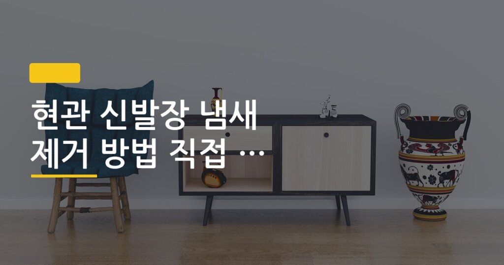 현관 신발장 냄새 제거 방법 직접 해본 후기