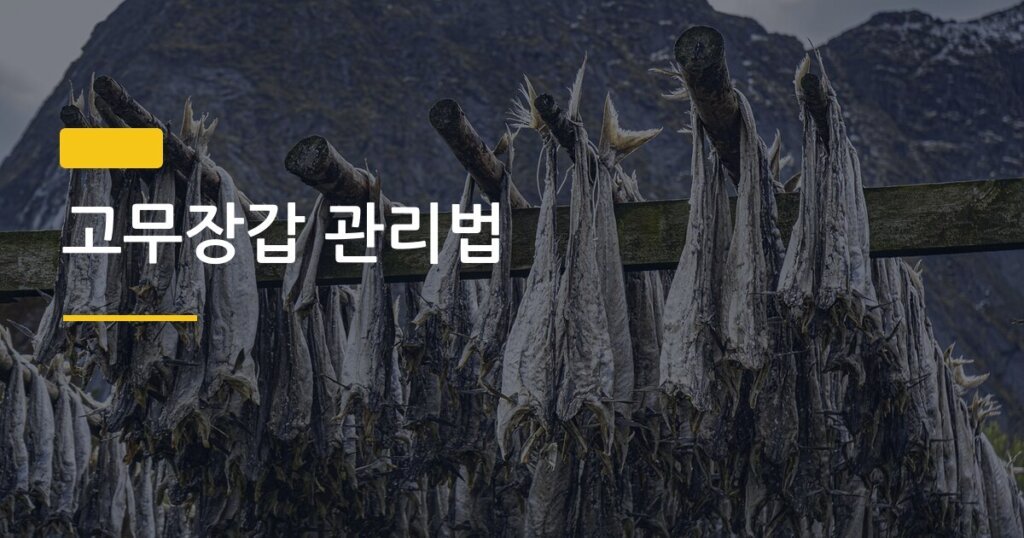 고무장갑 관리법, 3개월 쓰던 걸 1년 넘게 쓰는 사람들의 차이