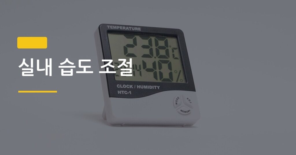 실내 습도 조절, 제습제 없이 낮추는 방법 5가지 — 돈 한 푼 안 쓰고 해결됩니다