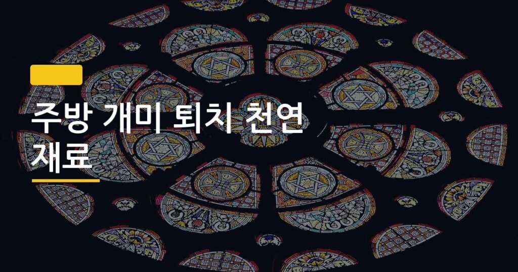 주방 개미 퇴치 천연 재료, 화학약품 없이 진짜 사라졌을까