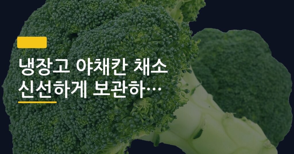 냉장고 야채칸 채소 신선하게 보관하는 법, 이렇게만 하면 2주도 거뜬해요