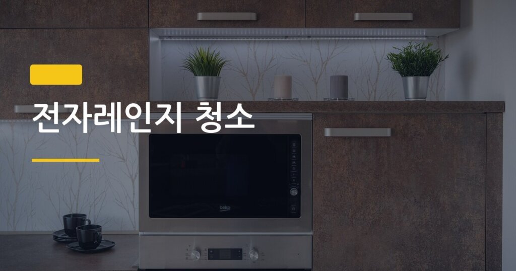 전자레인지 청소, 기름때 5분 만에 제거하는 진짜 방법