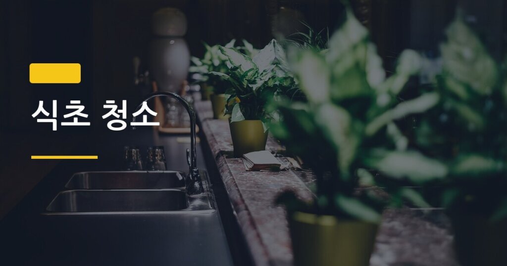 식초 청소, 집 안에서 이렇게 많은 곳에 쓸 수 있다고?