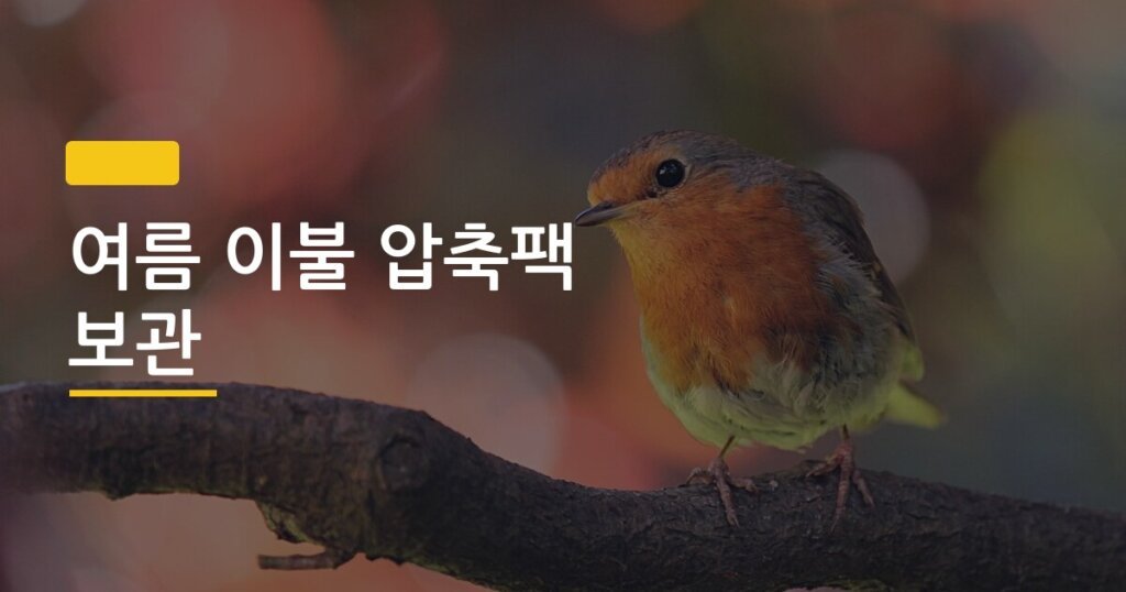 여름 이불 압축팩 보관, 곰팡이·냄새 없이 완벽하게 넣는 5가지 방법