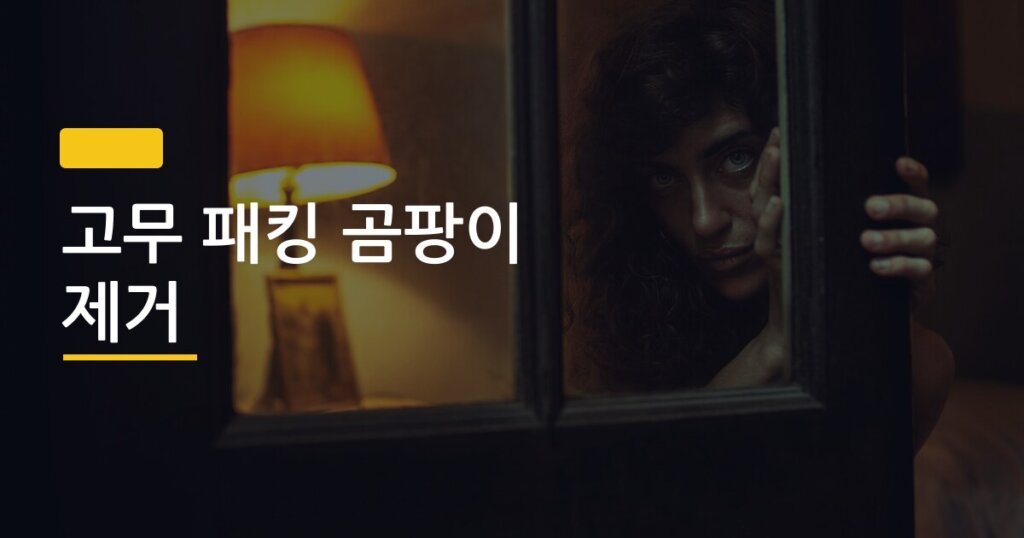 고무 패킹 곰팡이 제거, 방치하면 냉장고째 망가지는 이유 있었다