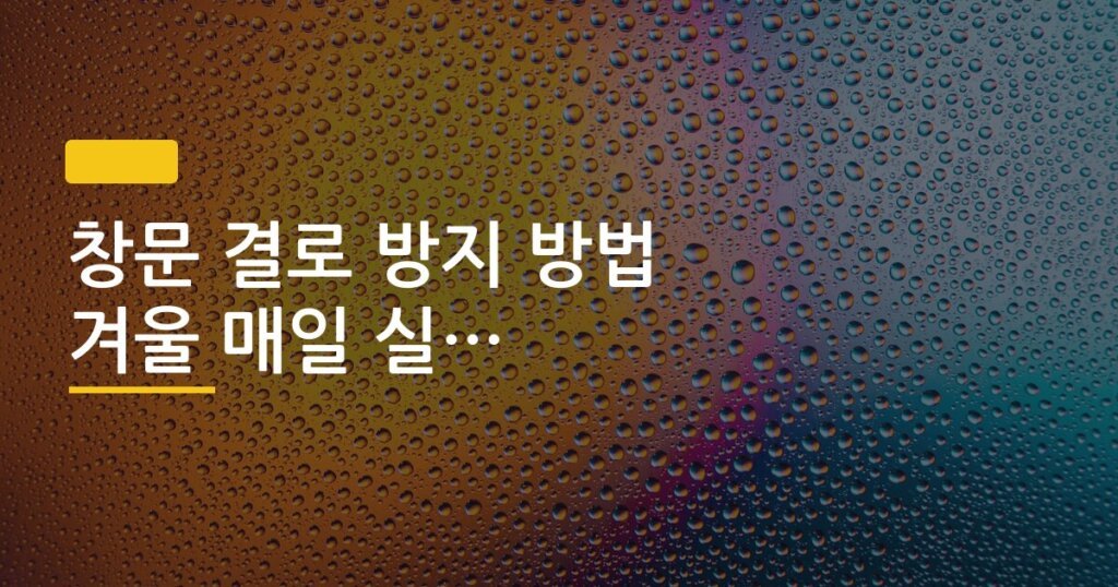 창문 결로 방지 방법 겨울 매일 실천 후기
