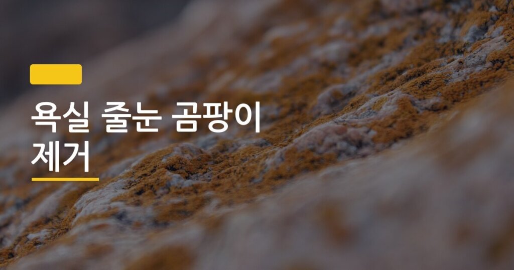 욕실 줄눈 곰팡이 제거, 락스 없이도 완벽하게 잡는 4가지 방법