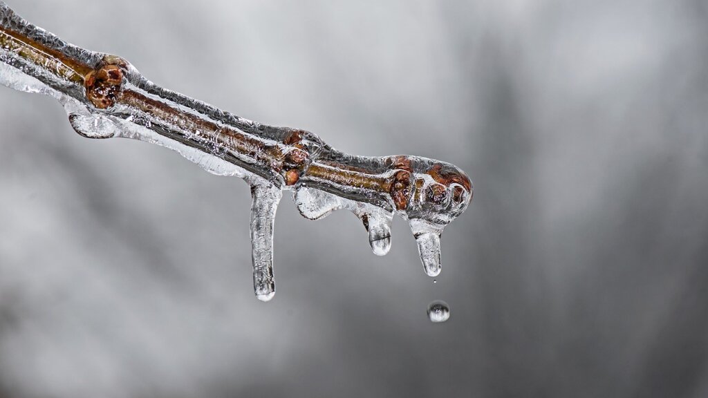 hot water bowl placed inside open freezer to melt frost