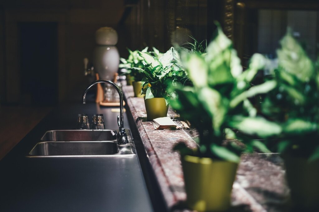 kitchen odor sources sink drain grease buildup