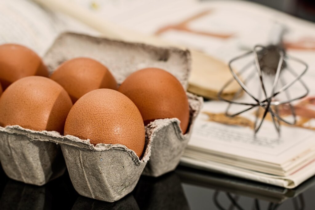 prohibited food items for kitchen garbage disposal including bones and eggshells