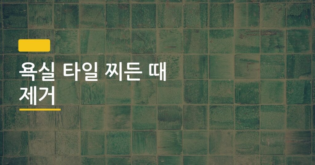 욕실 타일 찌든 때 제거, 락스보다 3배 빠른 방법이 따로 있었다