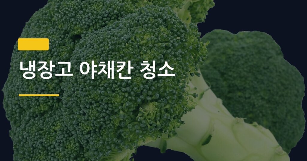 냉장고 야채칸 청소, 주기 놓치면 생기는 일과 올바른 세척 순서 5단계
