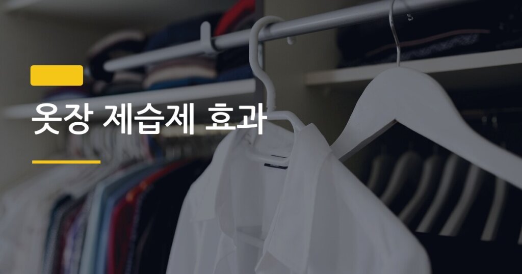 옷장 제습제 효과, 숯·실리카겔·염화칼슘 3가지 직접 비교해보니 이게 달랐다