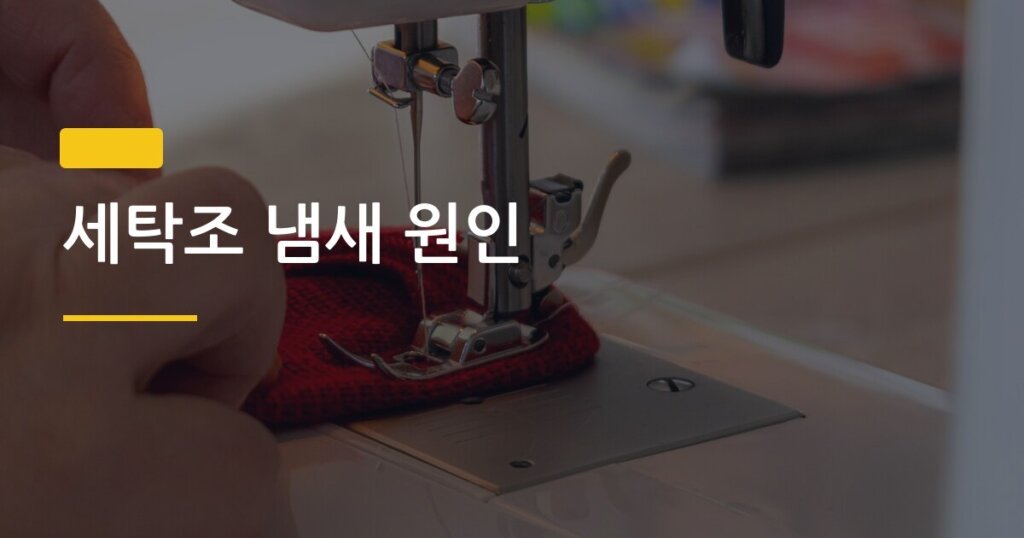 세탁조 냄새 원인, 집에서 직접 없애는 단계별 청소법 5가지