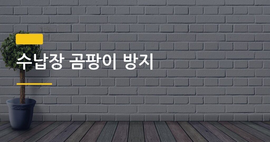 수납장 곰팡이 방지, 환기 안 되는 공간 관리법 5가지로 완전히 잡는다