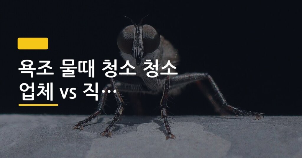 욕조 물때 청소 청소 업체 vs 직접 비교 후기