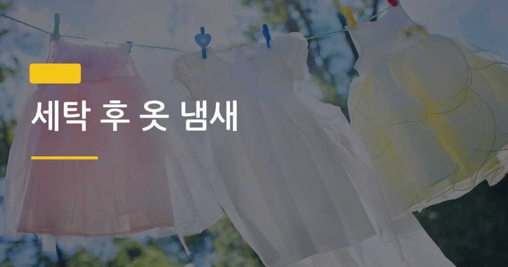세탁 후 옷 냄새, 세 번 빨아도 안 빠지는 이유와 집에서 완전히 없애는 법