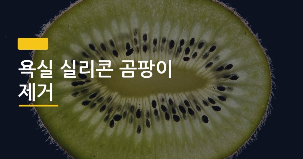 욕실 실리콘 곰팡이 제거, 락스 칫솔 하나로 3년 묵은 검은 때 없앤 현실 후기