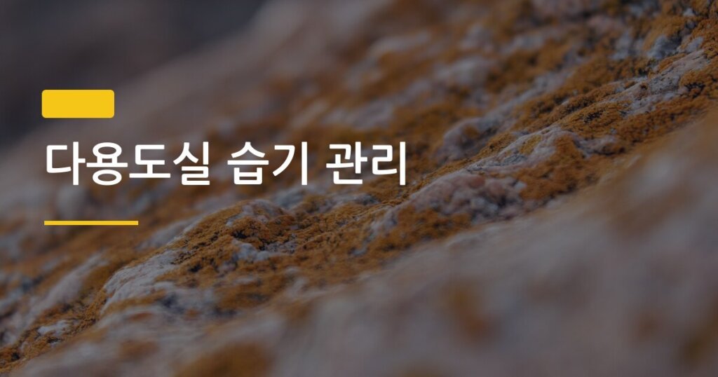 다용도실 습기 관리, 세탁기 주변 곰팡이 막는 5가지 방법