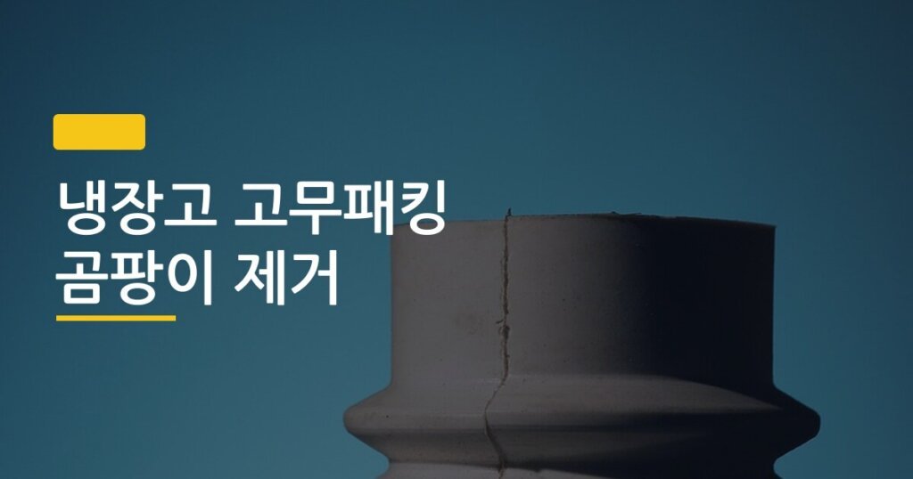 냉장고 고무패킹 곰팡이 제거, 5분 만에 말끔히 없애는 3단계 방법