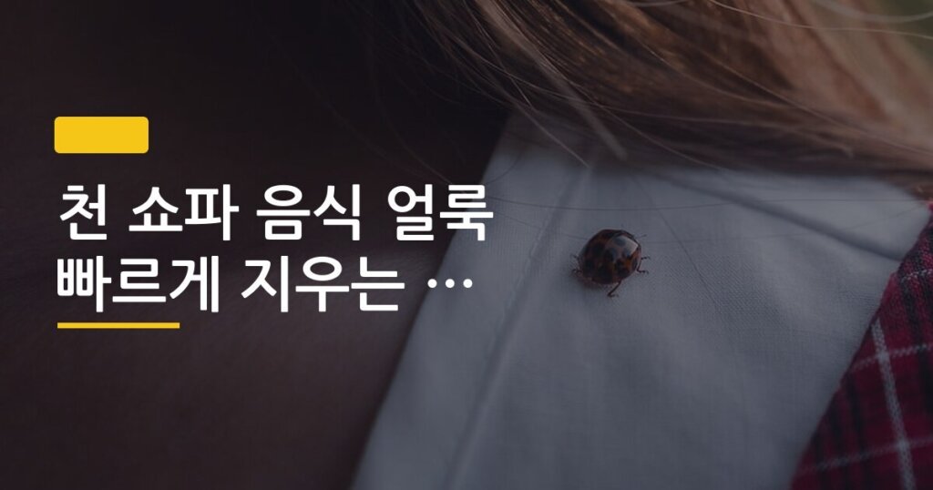 천 쇼파 음식 얼룩 빠르게 지우는 방법 후기