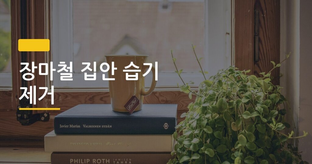 장마철 집안 습기 제거, 제품 없이 이렇게만 해도 곰팡이 안 생긴다