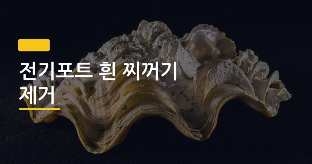 전기포트 흰 찌꺼기 제거, 식초 vs 구연산 뭐가 더 효과 좋을까
