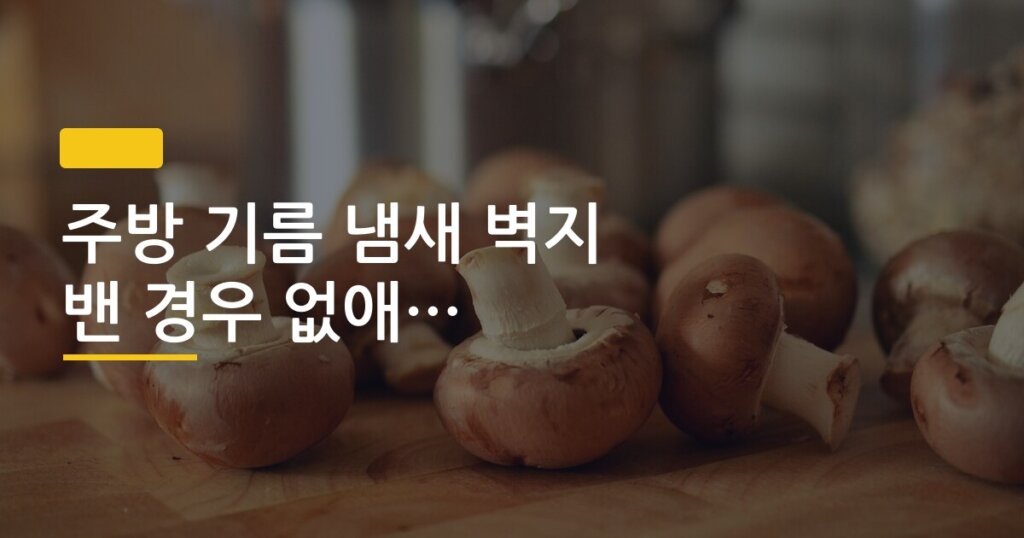 주방 기름 냄새 벽지 밴 경우 없애는 방법