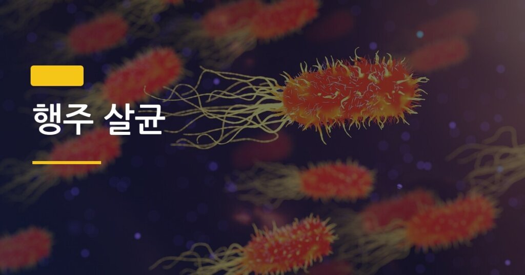 행주 살균, 삶기 vs 전자레인지 어떤 방법이 더 효과적일까