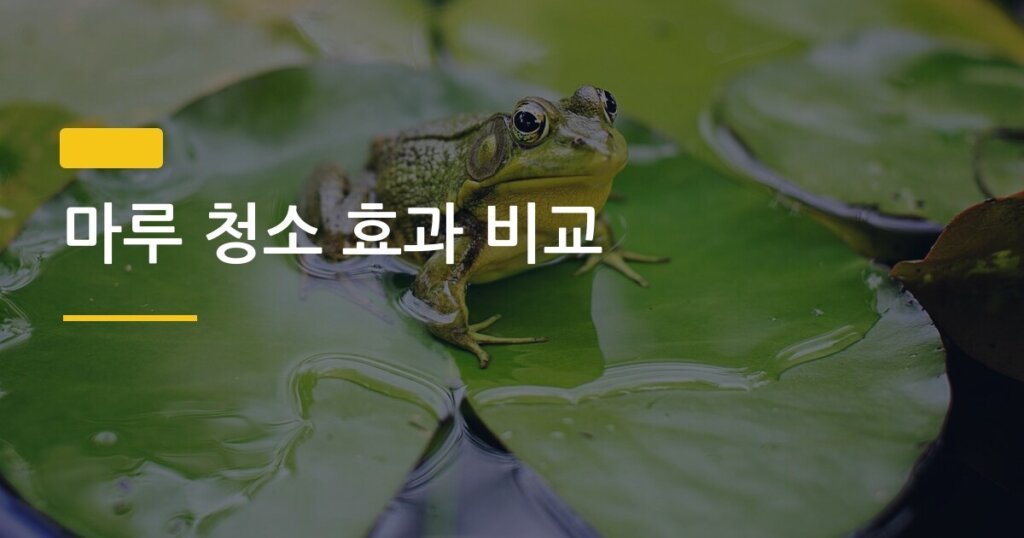 마루 청소 효과 비교, 물걸레 청소포 vs 스팀 청소기 뭐가 진짜 더 깨끗할까